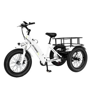 HoterBike Tricycle | Sunshine E Ride