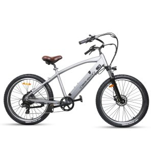 Santa Monica Electric Bike | Sunshine E ride LLC
