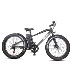 Elegance Super Cruiser E Bike