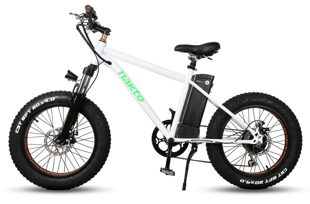 Mini Cruiser E-Bike – The Ultimate Blend of Power and Comfort