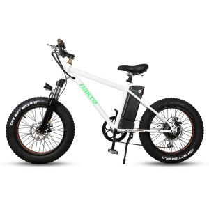 Mini Cruiser White Electric Bike | Sunshine E ride LLC