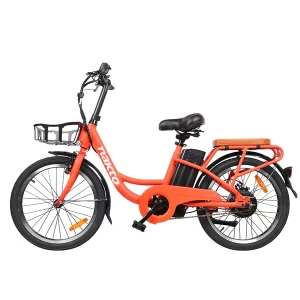Pony Electric Bike | Sunshine Electric Bike