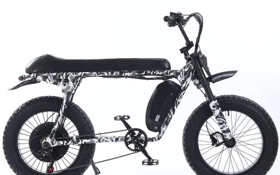 AKEZ ZX Electric Bike
