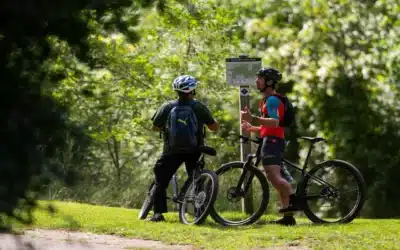 Adventure Electric Bike