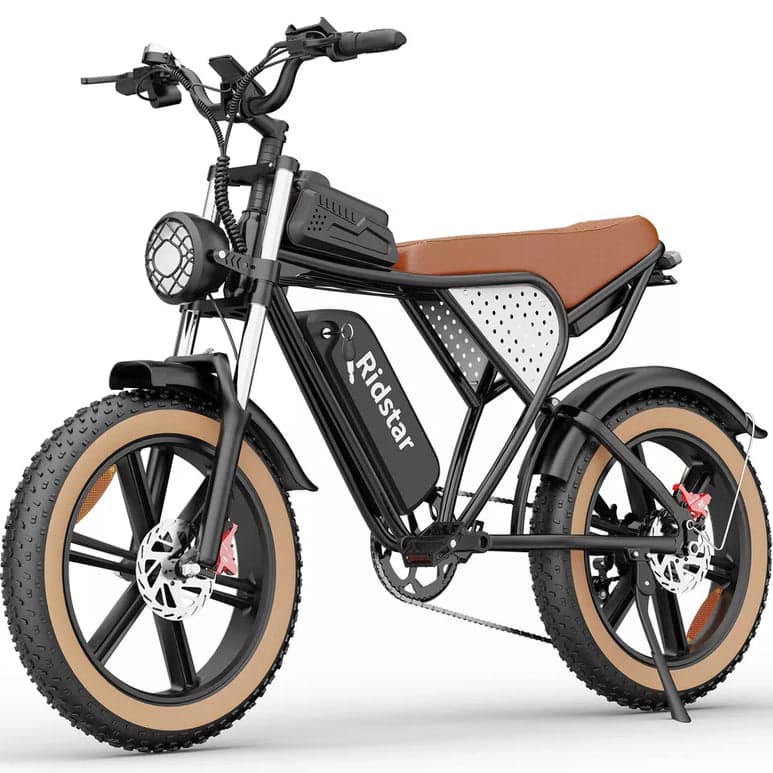 Ridstar® Fat Tire Mountain Electric Bike for Adult