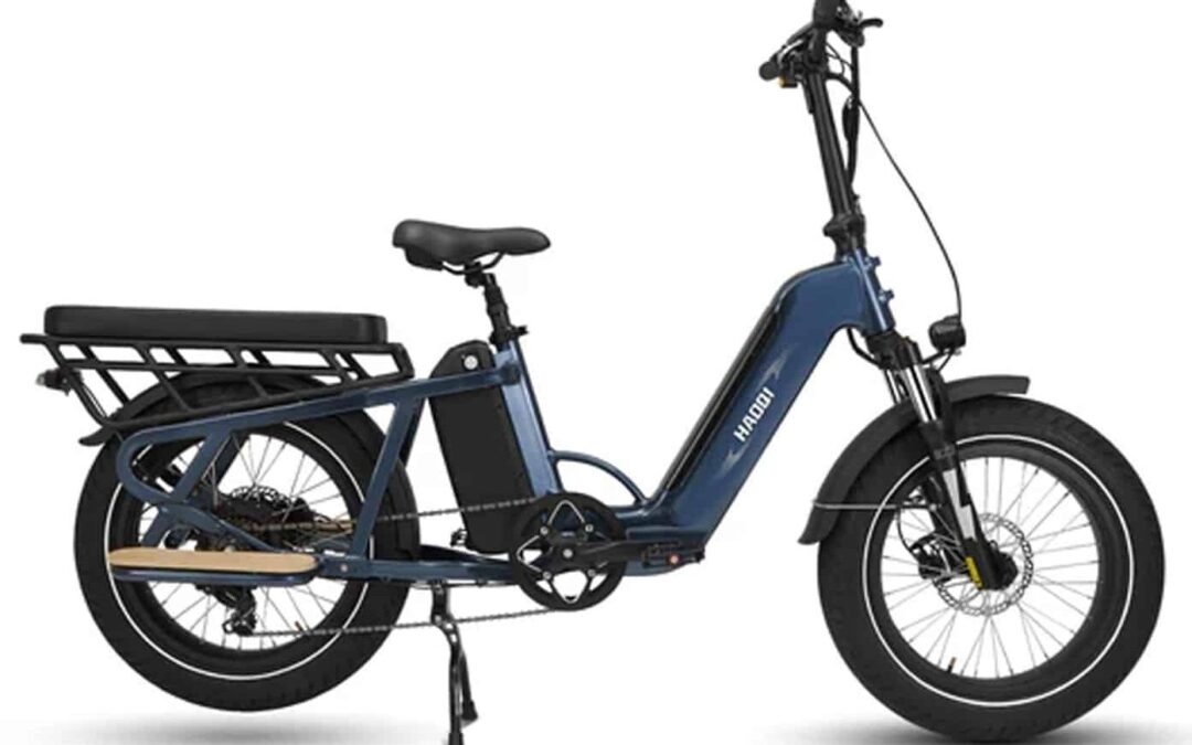 HAOQI Camel Electric Cargo Bike