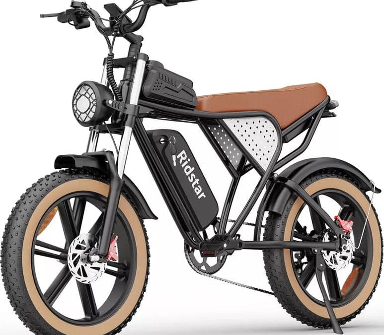 Ridstar® Fat Tire Mountain Electric Bike for Adult
