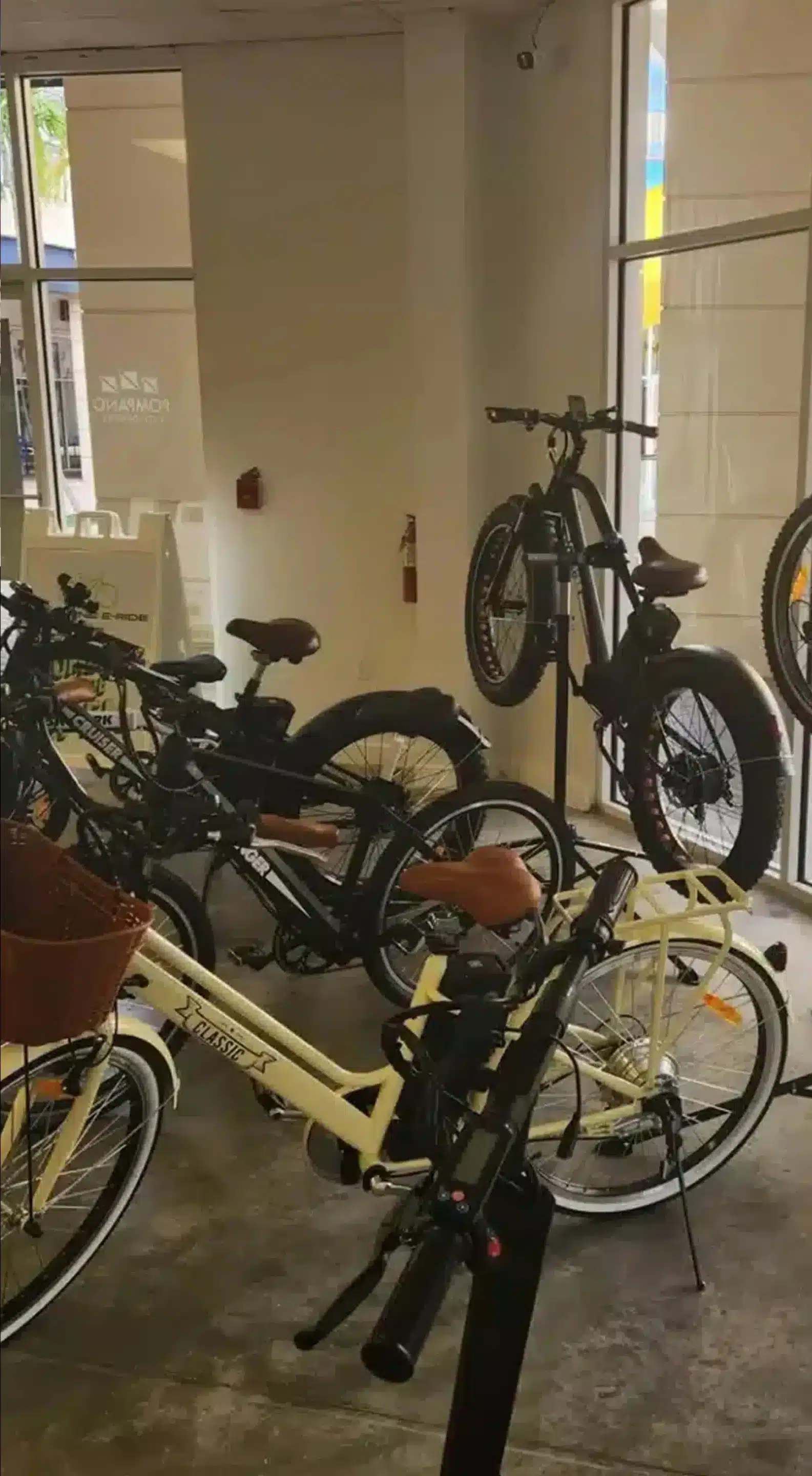 A Wide Range to Fit Every Rider