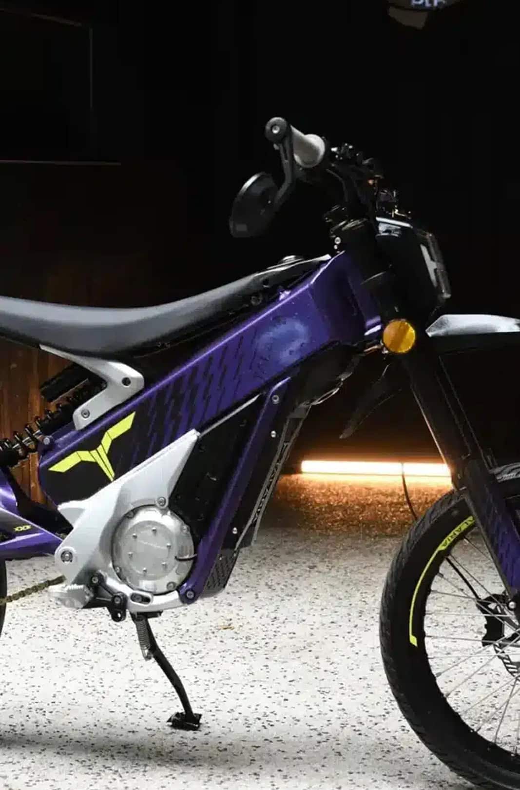 Electric Bike Revolution